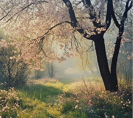 Народный календарь на 29 апреля 2025: что можно и нельзя делать, приметы и праздники