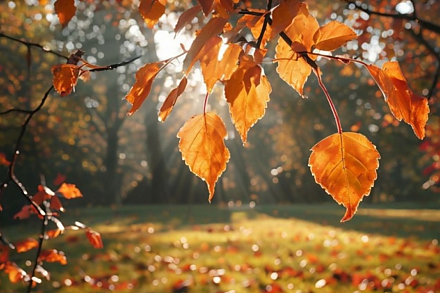 Народные приметы на 3 ноября 2025: что можно и нельзя делать в Иларионов день