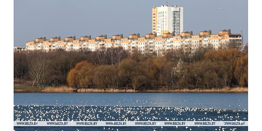 В каком регионе Беларуси сегодня ожидаются дожди с мокрым снегом, ответили синоптики