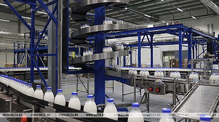 Производство сельхозпродукции в Беларуси в январе-мае увеличилось на 4,3%