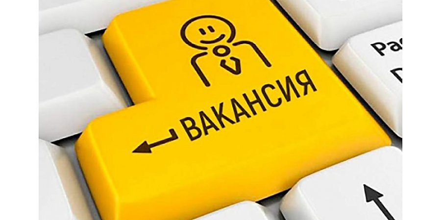 13 электронных ярмарок вакансий проведут в Гродненской области в июне