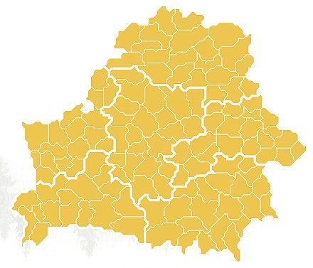 Ограничения на посещение лесов действуют во всех районах Беларуси