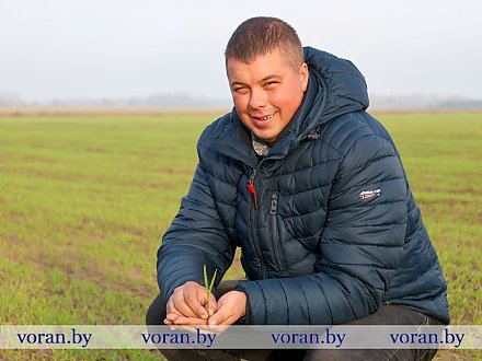 Стратег мисевичских полей