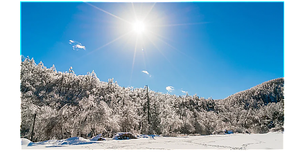 Следите за котом в Ермилов день: приметы на 26 января 2026