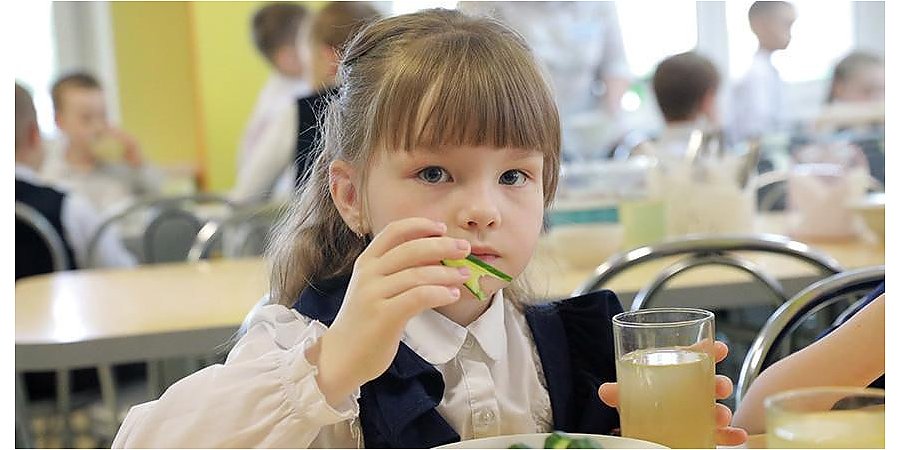 На связи чат-бот. С его помощью родители смогут узнать об организации питания в школах