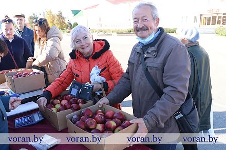 Новогрудские яблони, лидская хурма и жирмунский карп-гигант. Как прошла сельскохозяйственная ярмарка в Вороново?