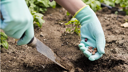 Подготовьтесь к работам в огороде: народные приметы на 10 апреля