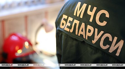 В МЧС напомнили о факторах опасности при усилении ветра