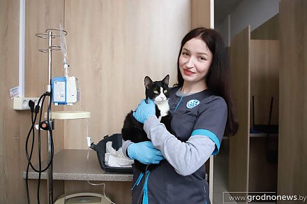 О чем молчат питомцы. Как обеспечить четвероногому долгую и здоровую жизнь