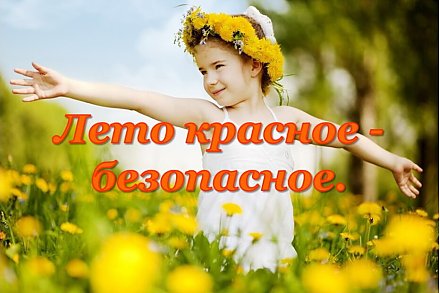 Лето без происшествий