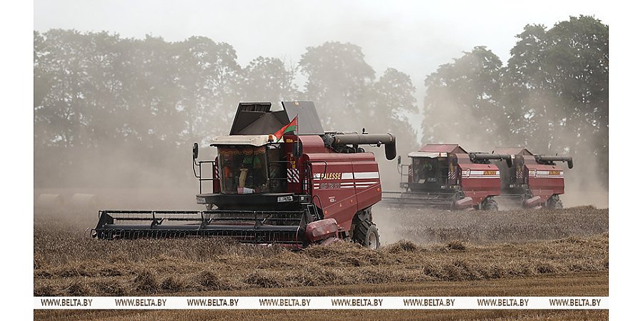 Аграрии Беларуси намолотили свыше 9 млн тонн зерна