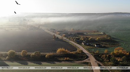 В Минэкономики напомнили о правах и обязанностях членов садоводческих товариществ