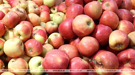 Минсельхозпрод установил предельные максимальные цены на овощи и яблоки для госнужд