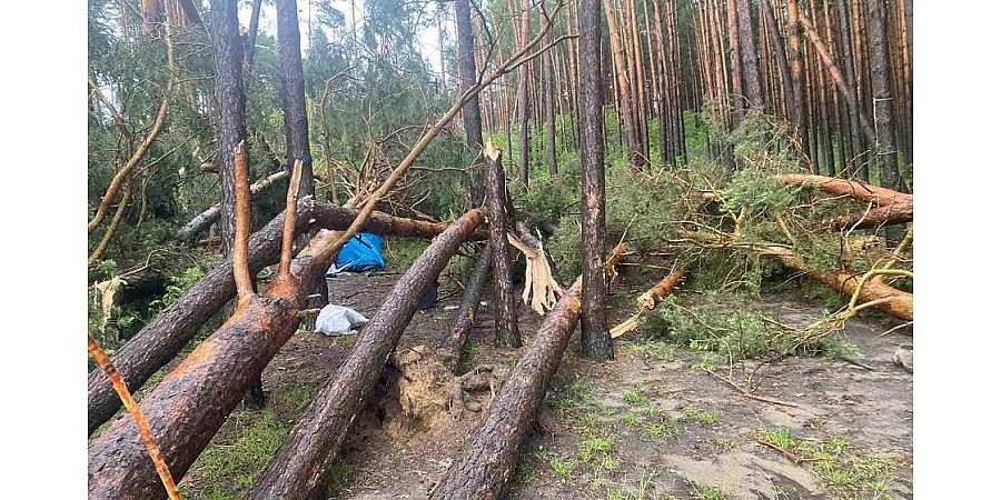 «До прибытия медиков спасатели проводили реанимационные мероприятия, но успеха они не дали». В областном управлении МЧС рассказали об обстоятельствах гибели женщины в Зельвенском районе