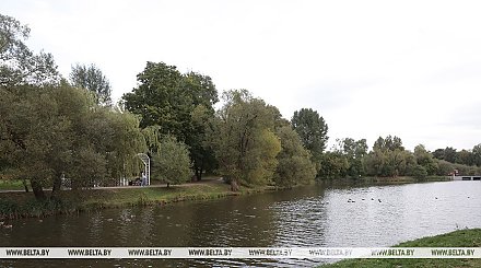 До +24°С, местами туман. Какой будет погода в Беларуси 13 сентября