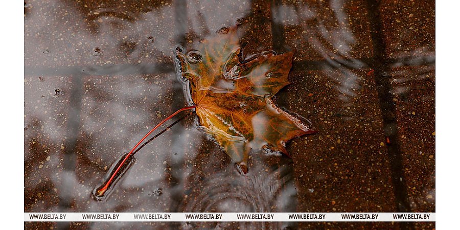 Оранжевый уровень опасности из-за дождей объявлен в Беларуси на 25 октября