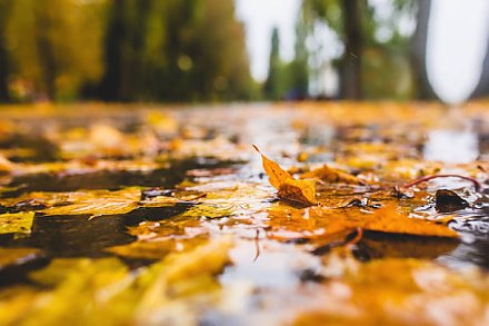 Первый мокрый снег и похолодание. Синоптик Рябов рассказал о погоде на неделе с 13 по 19 октября