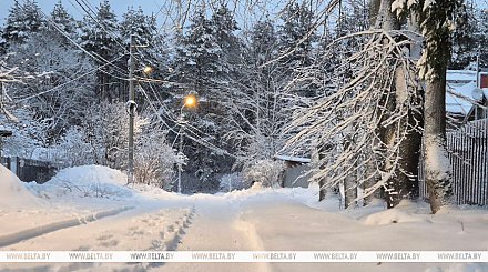 Мокрый снег и слабая метель ожидаются сегодня в Беларуси