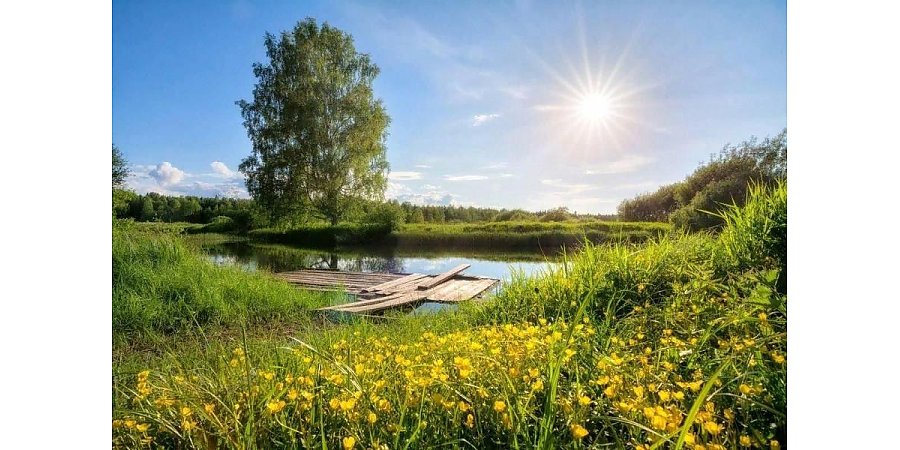 Народный календарь на 8 июля: что можно и нельзя делать, приметы и праздники