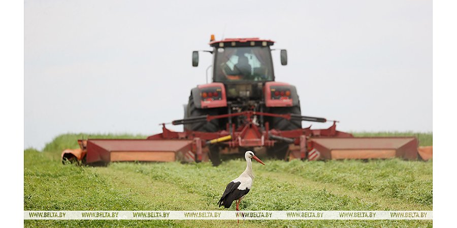 В Беларуси травы скошены почти на половине площадей