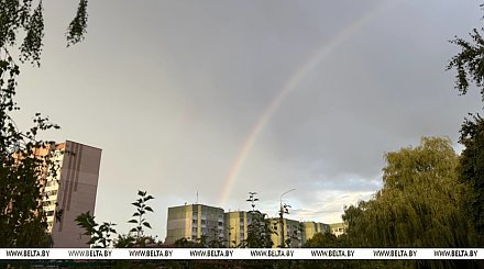 Туманно и до +24°С будет в Беларуси 26 августа