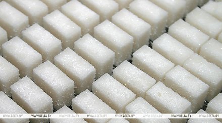 Сахар с перцем, халва со вкусом шкварок. Чем удивит "Белгоспищепром" на PRODEXPO-2025 в Минске 