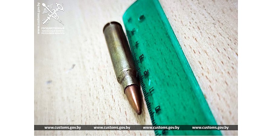 Лишение свободы до 7 лет грозит гражданину Украины за попытку﻿ ввоза на территорию ЕАЭС патрона к огнестрельному оружию