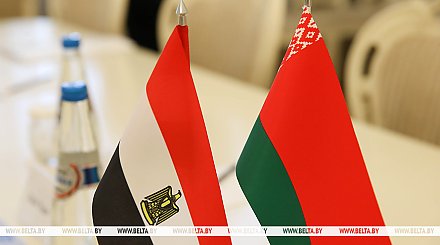 Александр Лукашенко подтвердил готовность Беларуси к углублению взаимодействия с Египтом