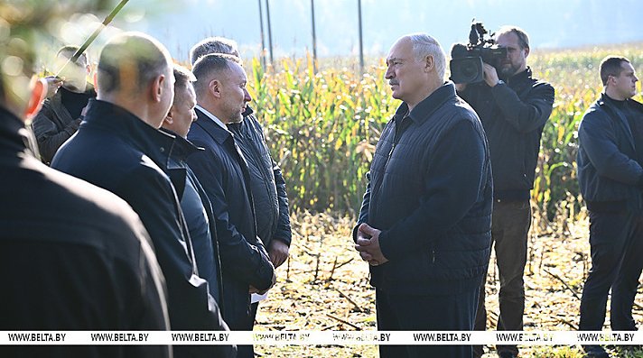 Что делать с "горами" вокруг Солигорска? Александр Лукашенко ознакомился с экспериментом по повышению плодородия почв 