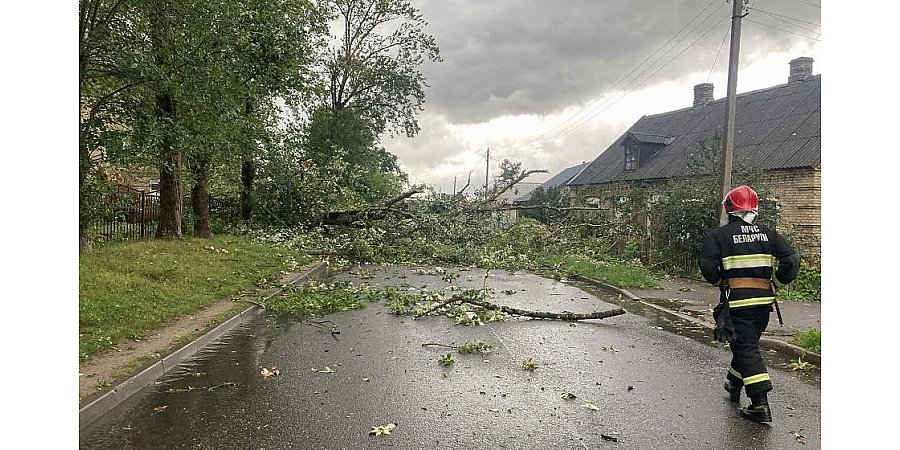 В Гродненской области из-за непогоды в 67 населенных пунктах нарушалось электроснабжение