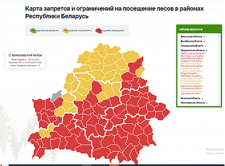 В Вороновском районе с 4 сентября 2024 года введен запрет на посещение лесов