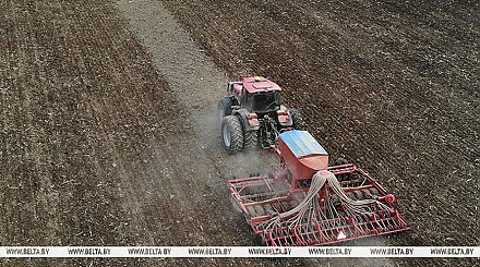 Правительство утвердило меры по подготовке к полевым работам и уборке урожая в 2025 году