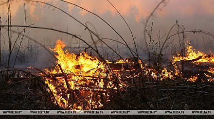 В Беларуси стартовал пожароопасный сезон - гослесохрана приступила к ежедневным дежурствам