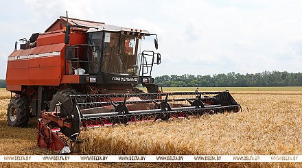 Белорусские аграрии намолотили 4 млн тонн зерна