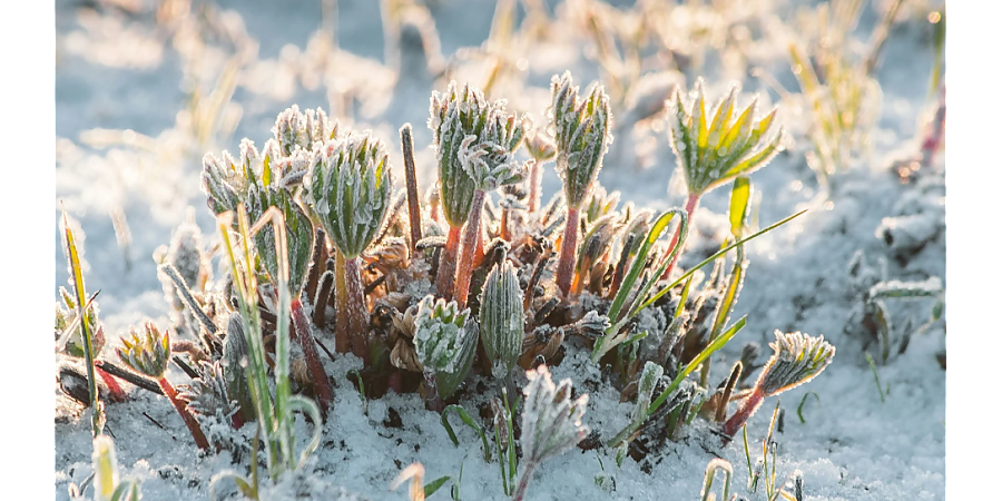 В первый день весны запомните сон: народные приметы на 1 марта