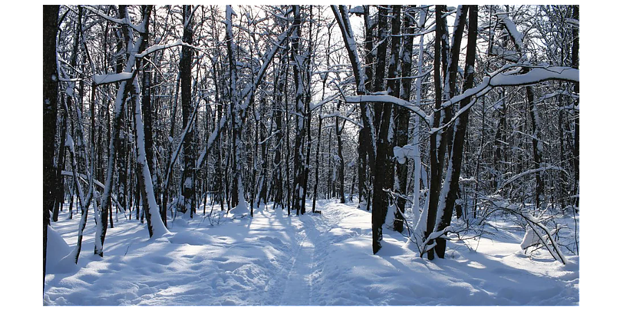 Народные приметы февраля 2026 года: что приготовил последний месяц зимы