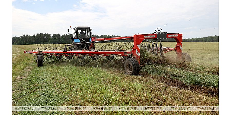 Первый укос трав завершили в Беларуси
