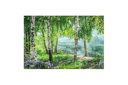 Народные приметы на 22 июля 2025 года: что можно и нельзя делать в этот день