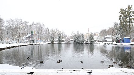 Сугробы и морозы. Какой будет погода в Беларуси в новогоднюю ночь, рассказали в Белгидромете