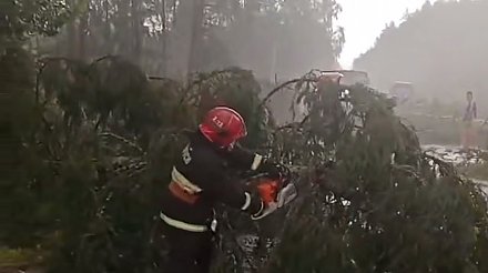 В Гродно спасатели помогали устранять последствия непогоды, мониторинг обстановки продолжается