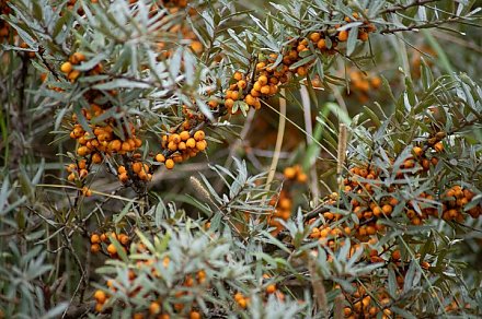 Народные приметы на 25 августа 2025 года: что можно и нельзя делать в этот день