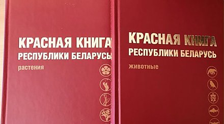 В Красную книгу Беларуси добавлены 13 видов животных и 5 видов растений