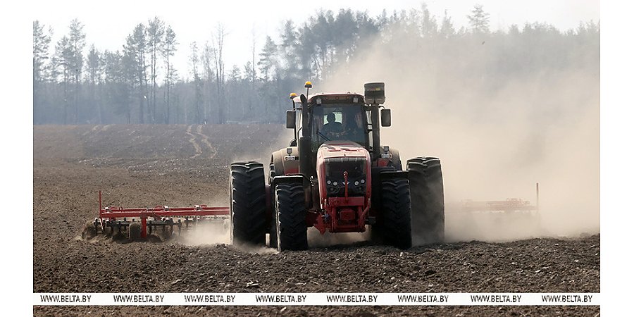 В Беларуси засеяно свыше 20% площадей яровых культур 