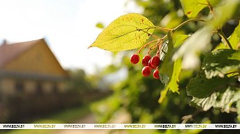Без осадков и до +32°С будет в Беларуси сегодня