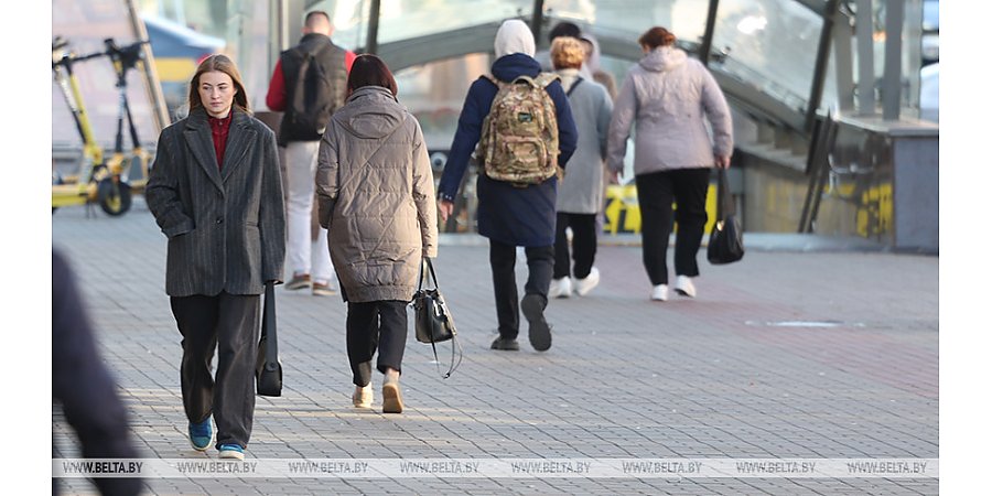 Когда может пройти пробная перепись населения Беларуси? Опубликован законопроект