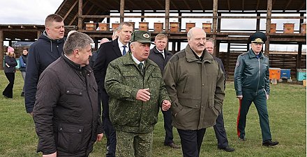 Пока кто-то "делал политику", Александр Лукашенко восстанавливал зоны отчуждения. Рассказываем про Полесский радиационный заповедник