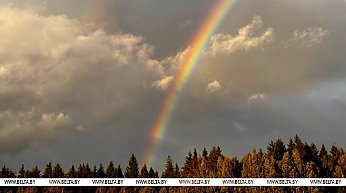 Где в Беларуси пройдут дожди 11 сентября, рассказали синоптики