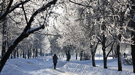 Будут ли в Беларуси сегодня снегопады, рассказали синоптики