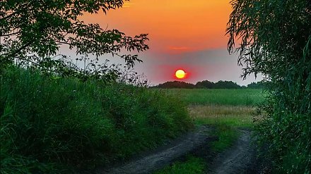 Народный календарь на 9 июля: что можно и нельзя делать, приметы и праздники
