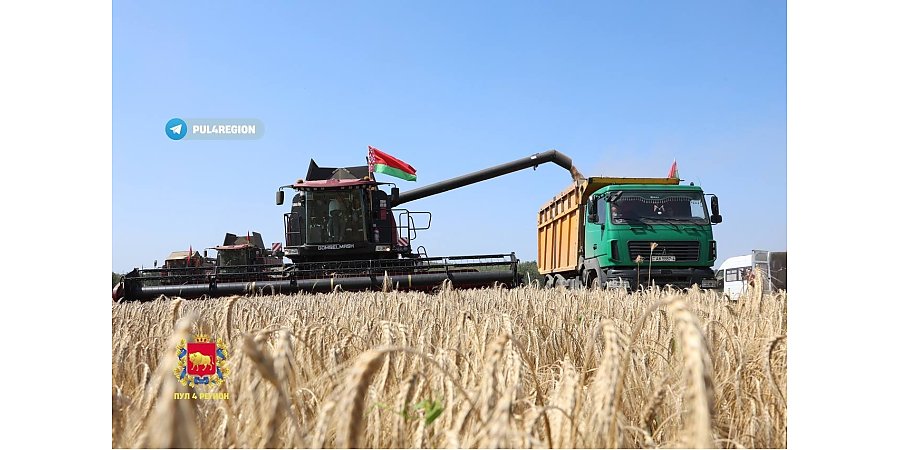 Есть миллион тонн: аграрии Гродненской области преодолели знаковый рубеж в уборке зерна с учетом рапса